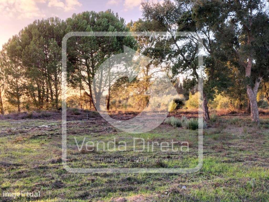 Terreno com 110.000 m2 junto à Nacional 10 - Com Armazém, Furo Lice...-13