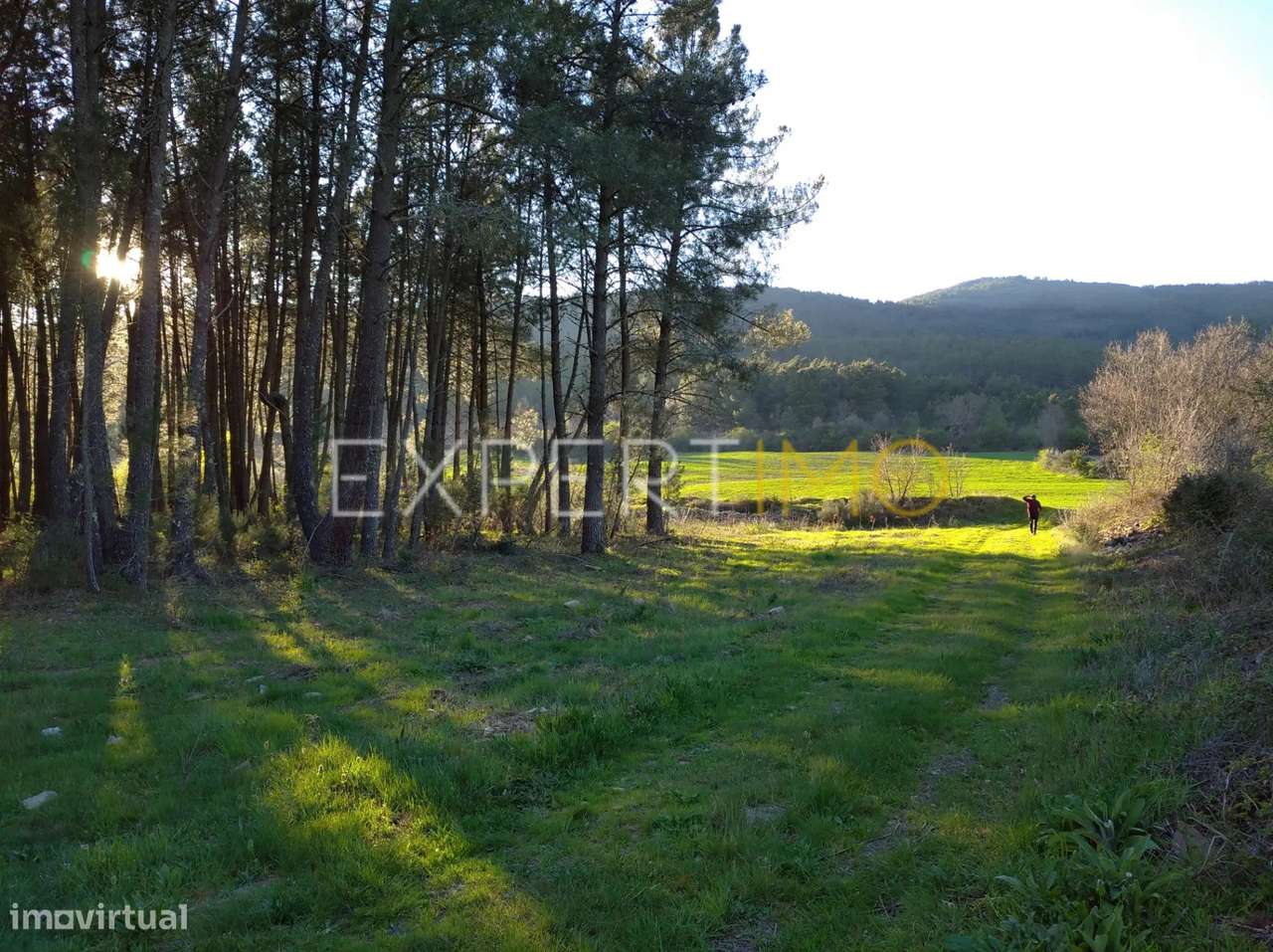 TERRENO AGRÍCOLA, plano, orografia regular, abundância de água... - Grande imagem: 5/30