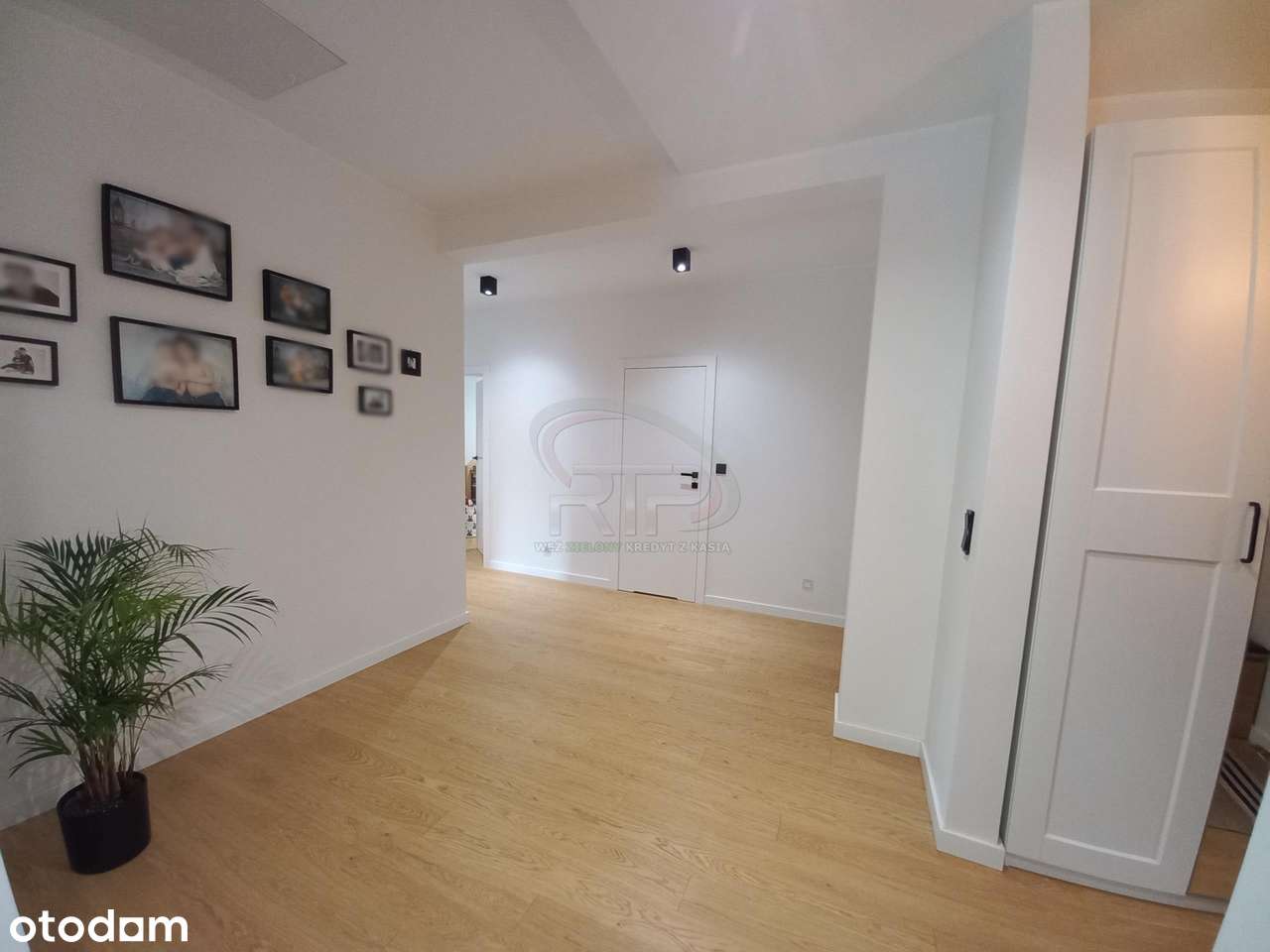 Dom Wolnostojący 4-pok Działka 1449 m2 Gniechowice - Pełny obrazek: 5/20