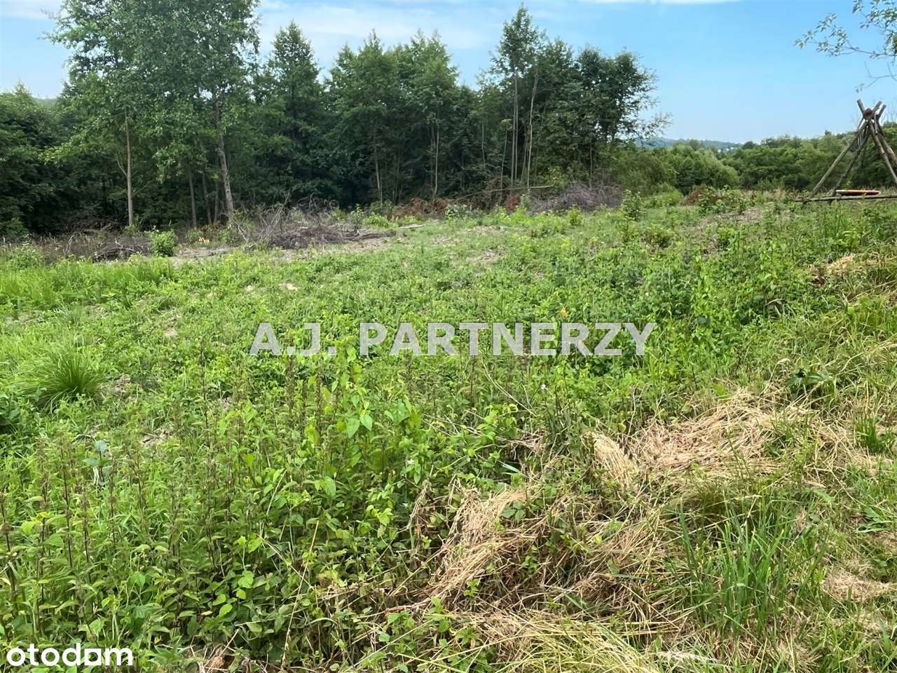 Działka budowlana z mediami w Golkowicach-3