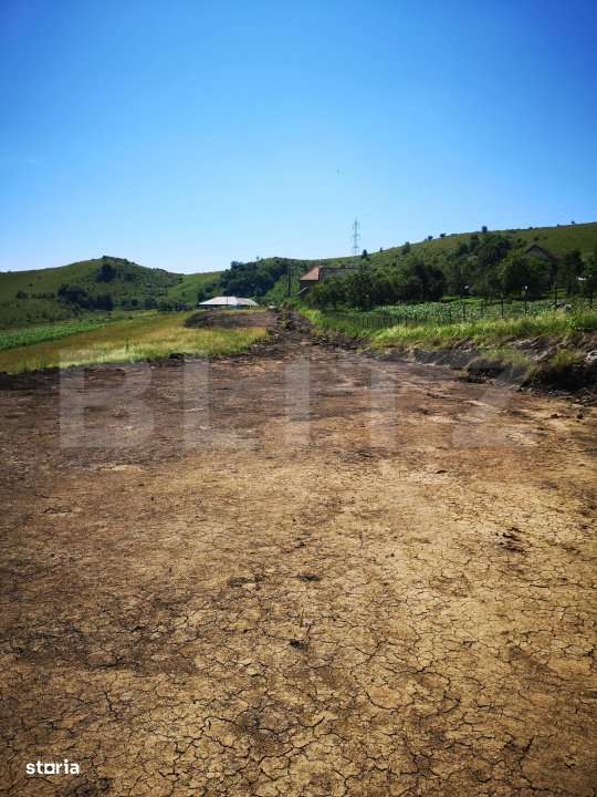 Teren intravilan, 2.200 mp cu PUD, autorizatie si utilitati Chinteni, - Imagine principală: 2/11