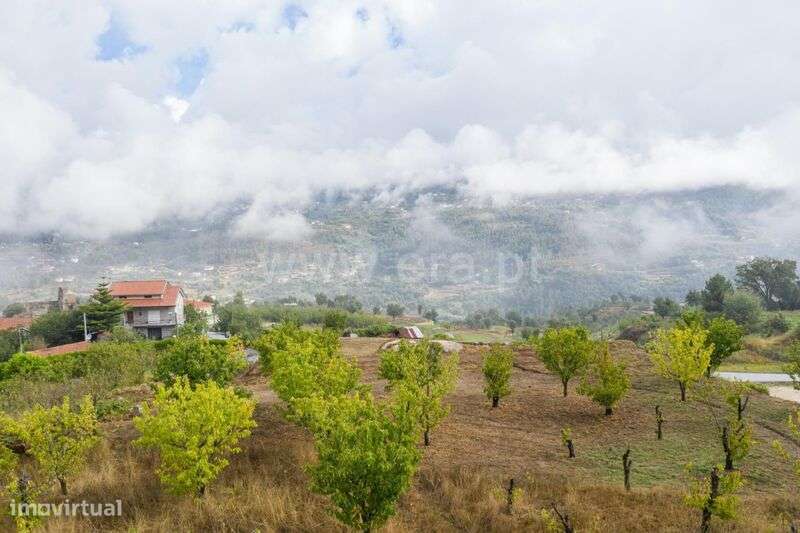Terreno para Construção / Cinfães, Santiago de Piães - Grande imagem: 4/5