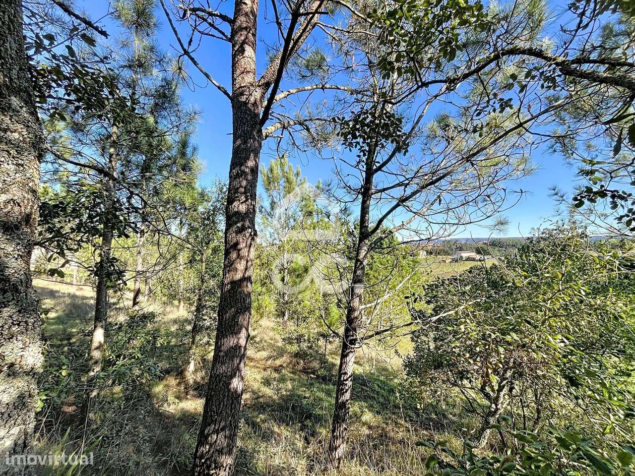 Terreno misto, Alvorninha - Grande imagem: 5/23