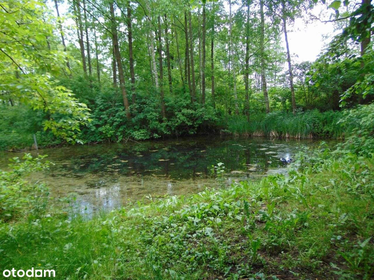 Siedlisko Piotrkowo 3 stawy, 2 garaże Unikat - Pełny obrazek: 5/18