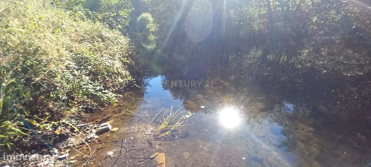 Terreno Rustico Sobrainho da Ribeira - Grande imagem: 2/14