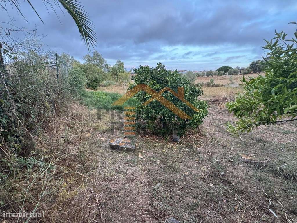 Oportunidade de Investimento: Industrial ou Habitação. - Grande imagem: 2/15