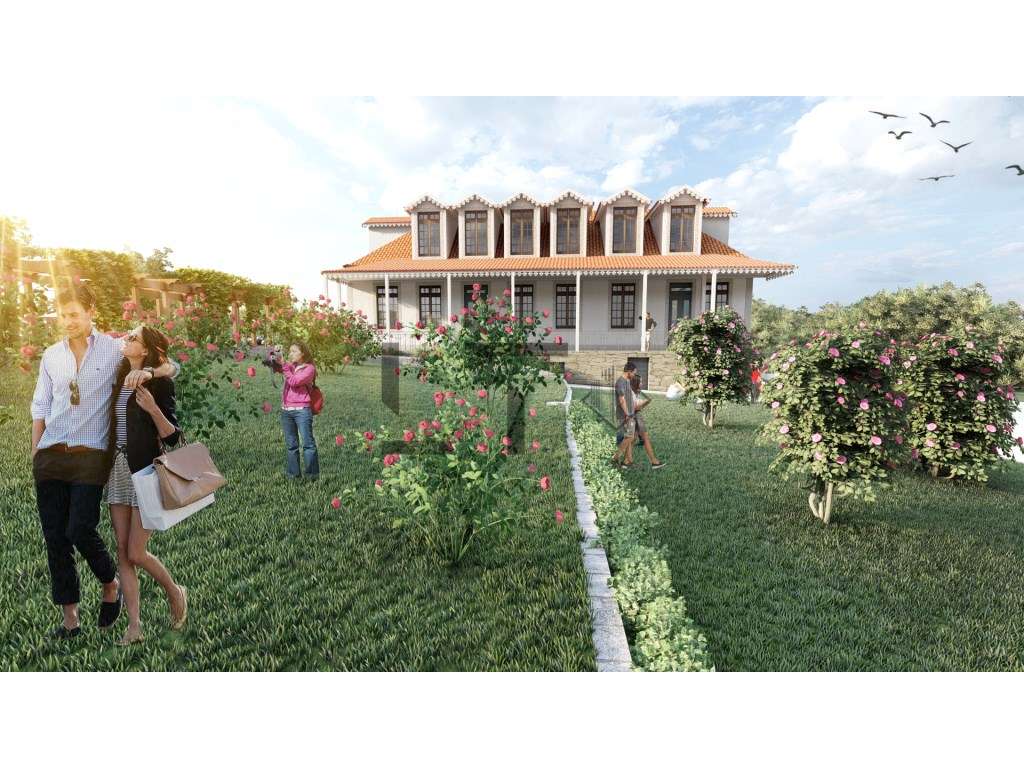 Quinta Centenária Brasonada para reabilitação para Venda em Tondela... - Grande imagem: 4/37