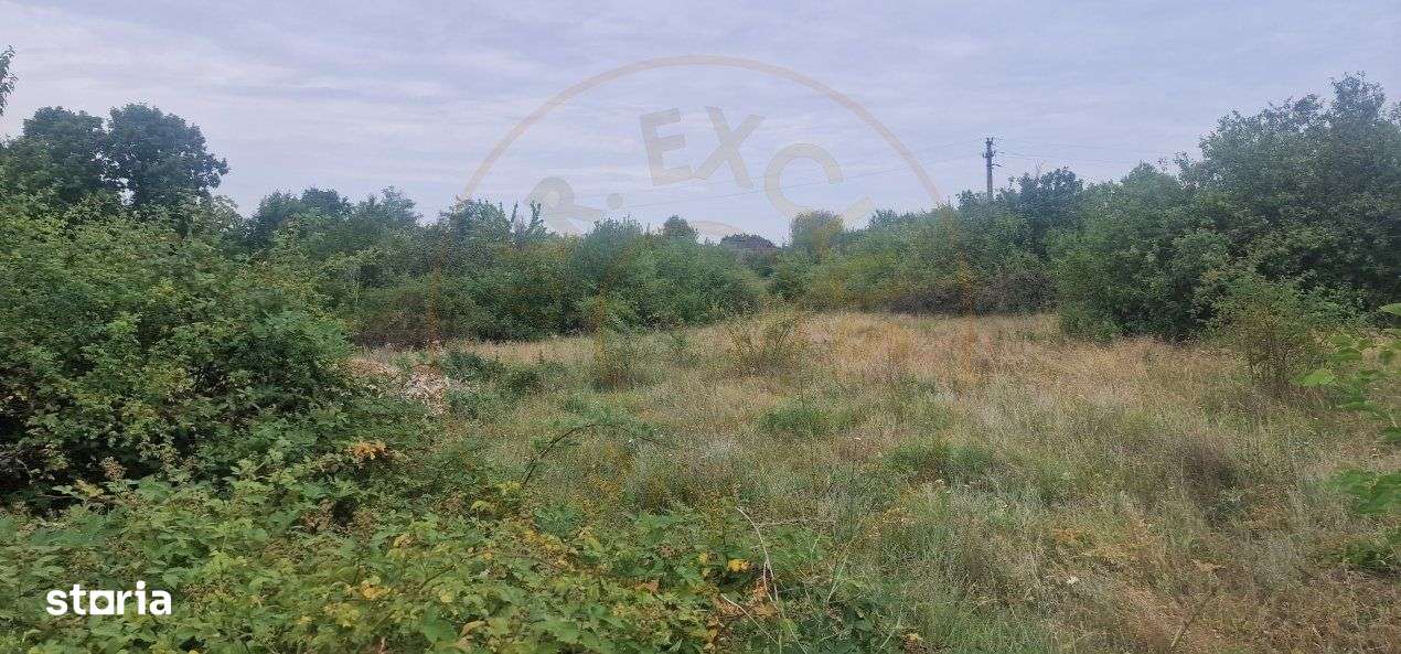 TEREN POIANA LACULUI - Imagine principală: 3/4