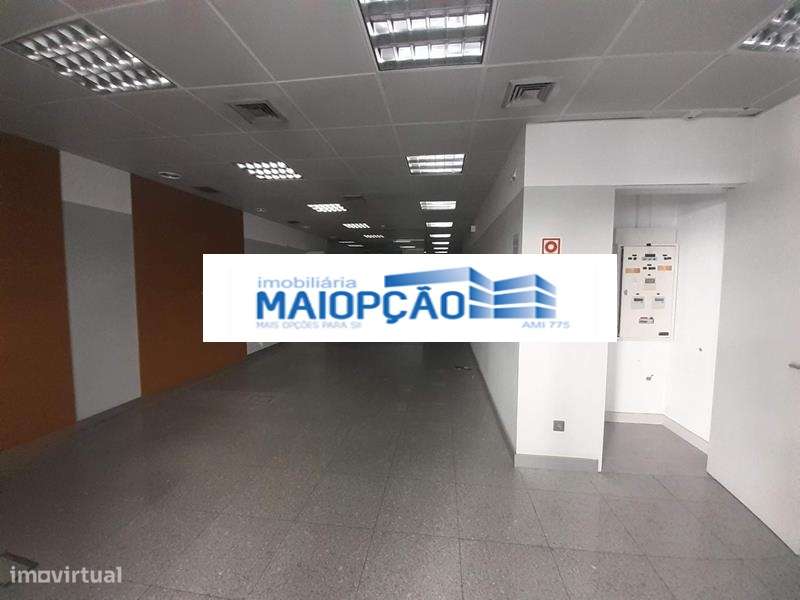 Loja junto ao Parque Eduardo VII - Grande imagem: 3/11