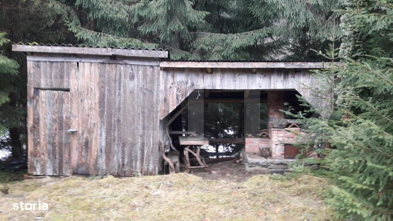 Casa de vacanta in Piatra Fantanele + 4,5 arii teren - Imagine principală: 2/19