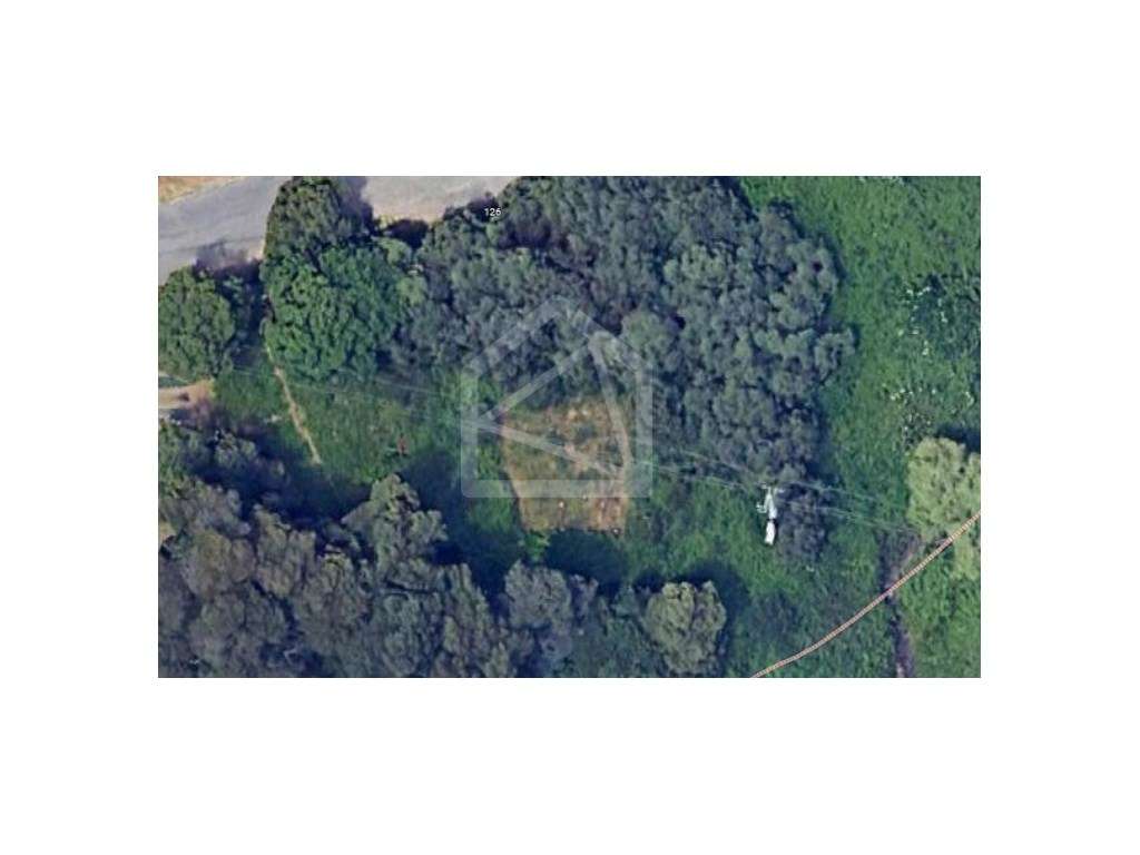 Terreno Rústico em Mozelos - Grande imagem: 4/4