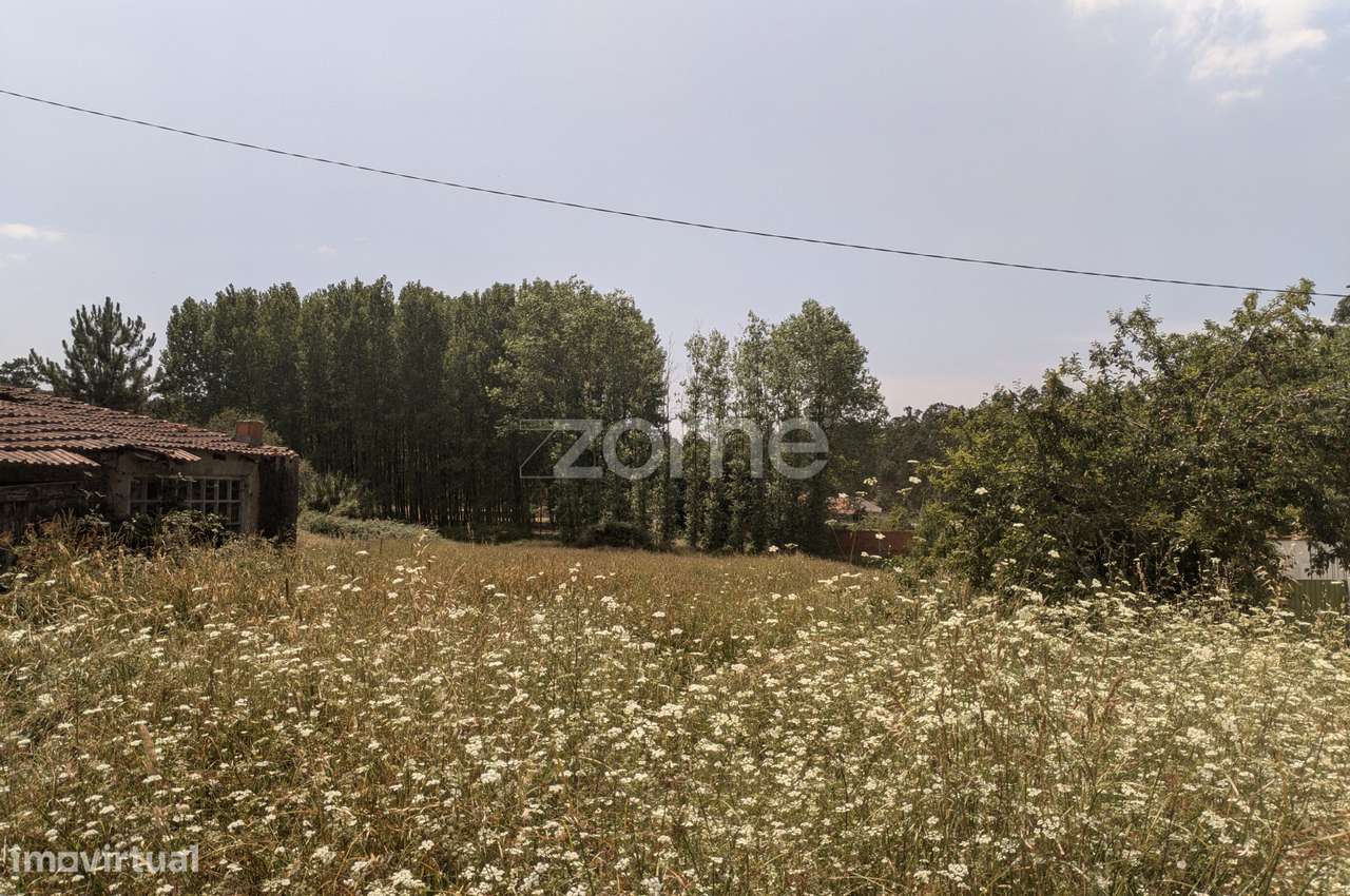 Terreno em zona tranquila na Maceira, a poucos minutos de Leiria - Grande imagem: 5/20