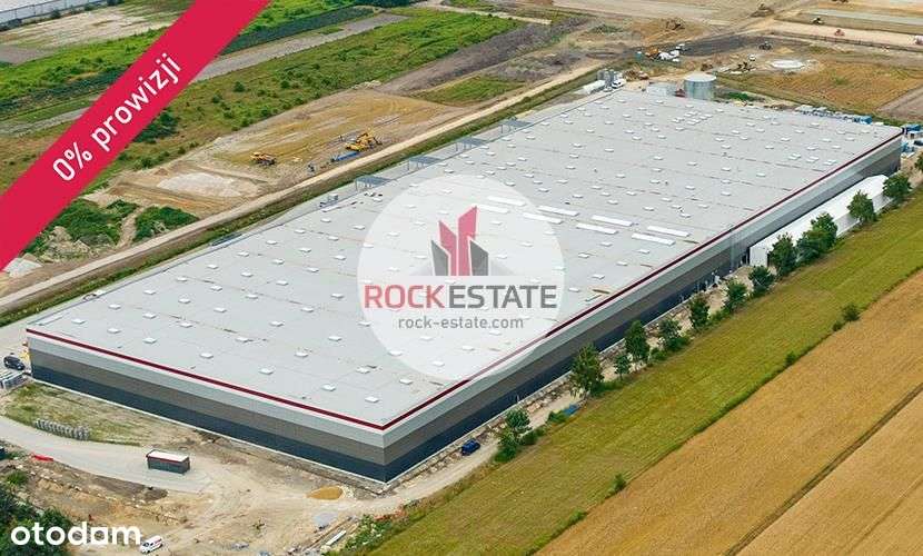 Magazyn 2400 m2 Wólka/Marysin -0% prowizji - Pełny obrazek: 5/5