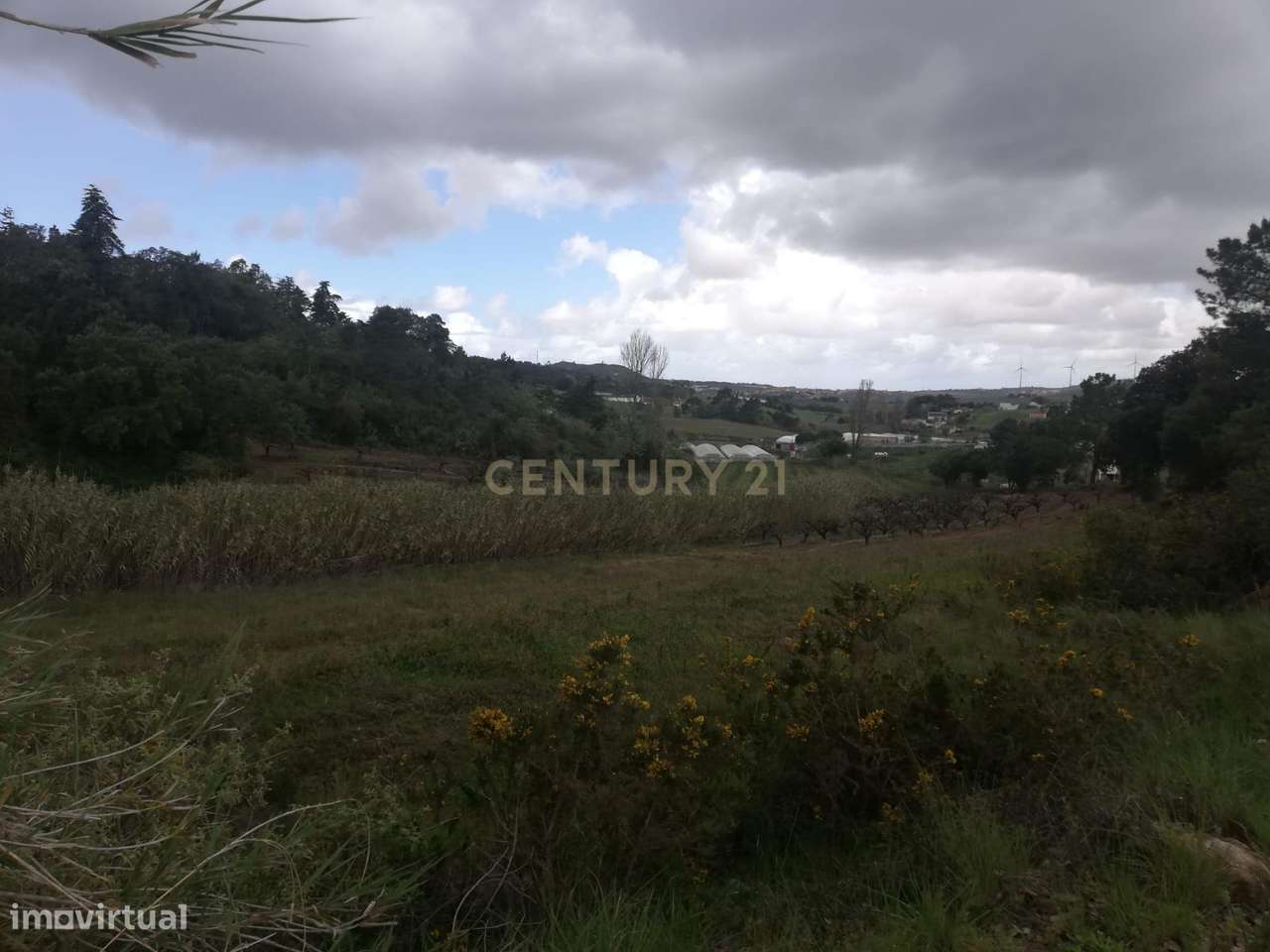 Terreno Agrícola na Zona Oeste - Grande imagem: 2/14