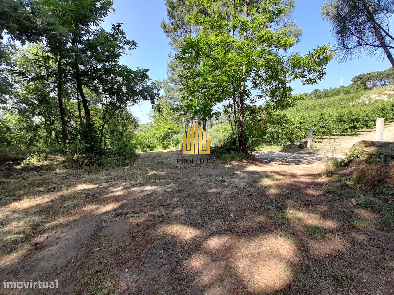 Terreno único com 21.500 m² Zona Vinhateira - Projeto Turístico-20