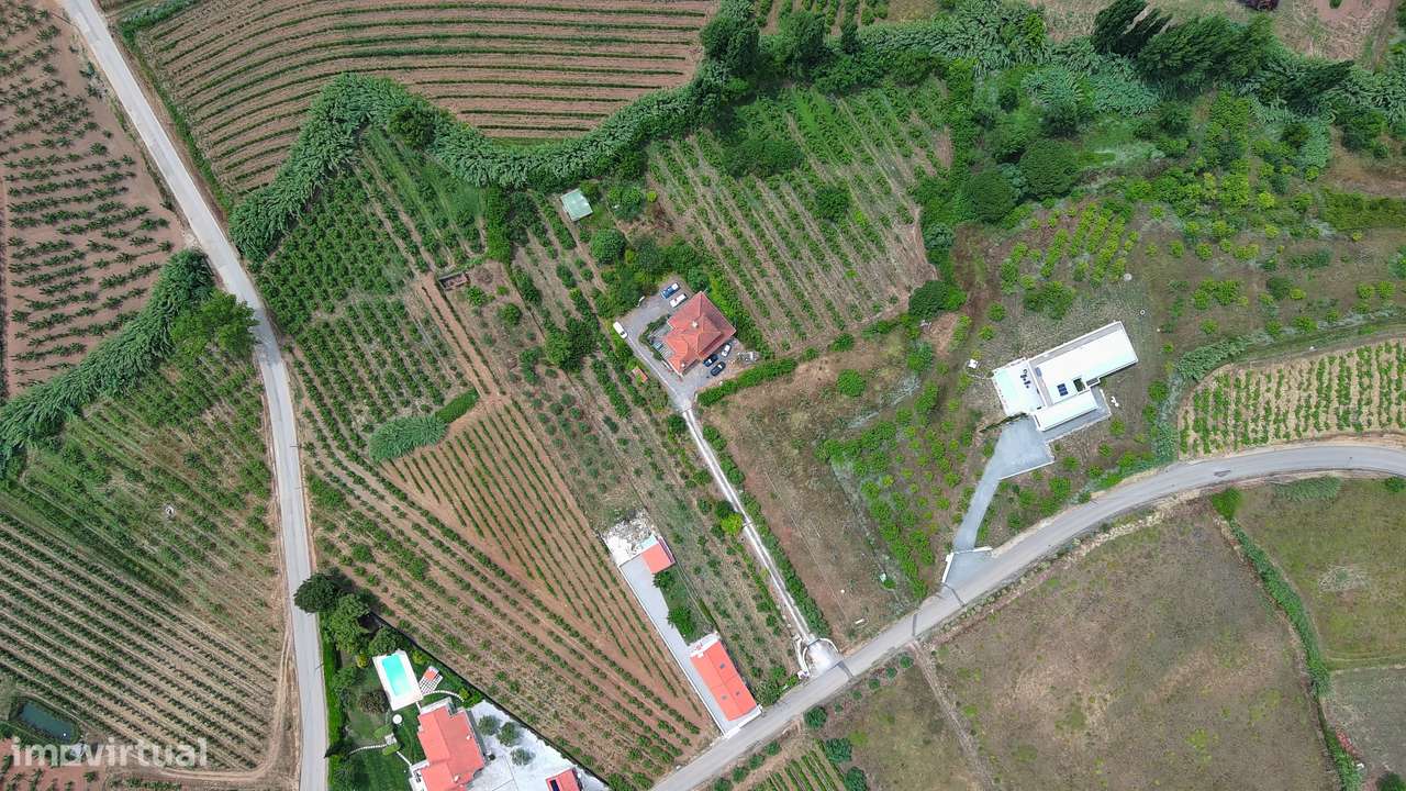 Herdade com 13.360m2 no Bombarral-7