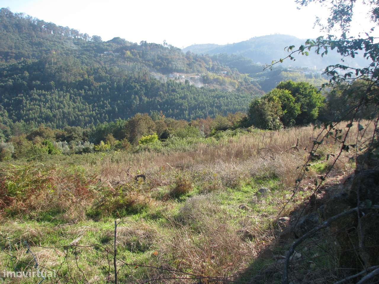 Quinta com casa em ruínas-6