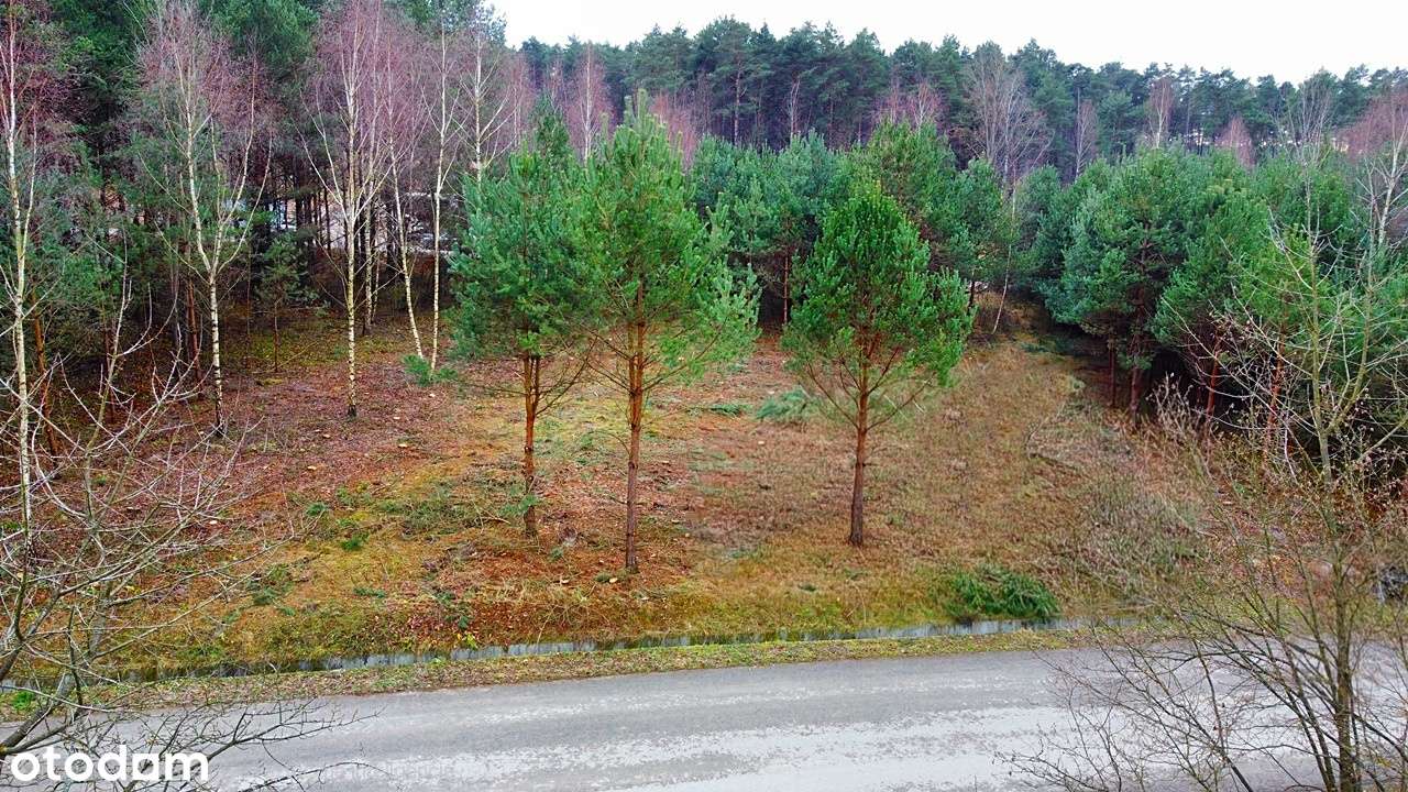 Działka budowlana | Radlin | Ogrodzenie-1