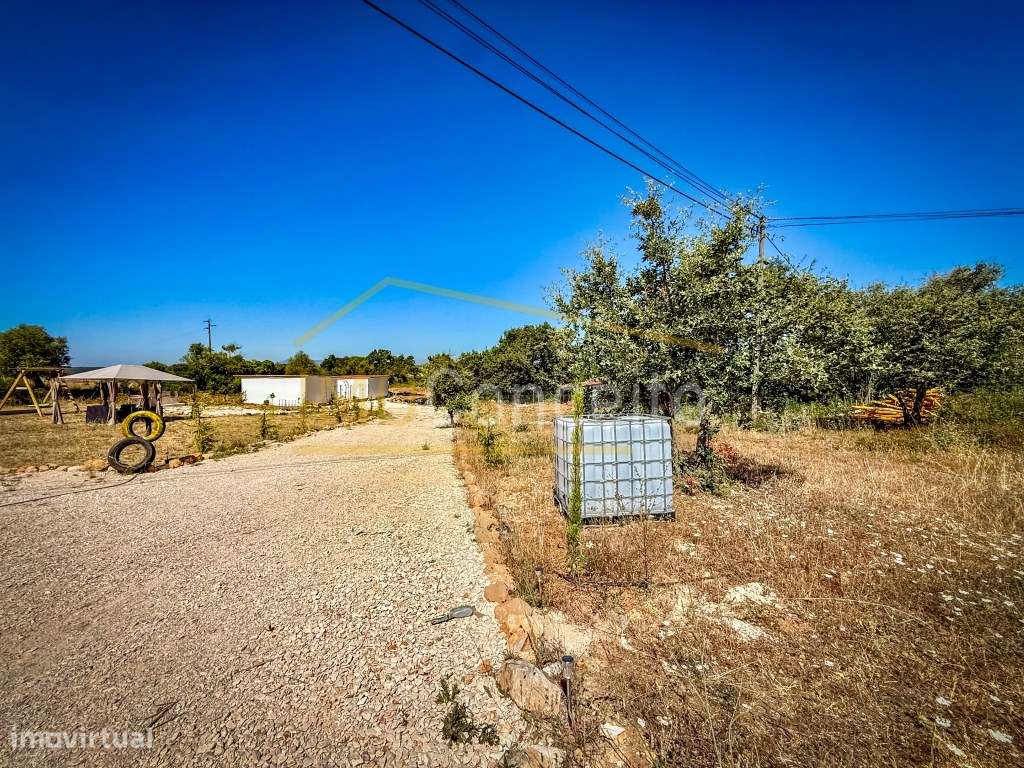 TERRENO RÚSTICO || ALMOSTER || SANTARÉM - Grande imagem: 5/11