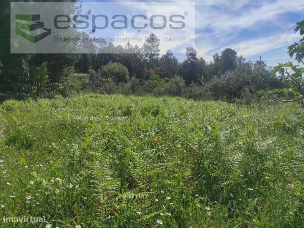 Terreno Rustico - Grande imagem: 4/16