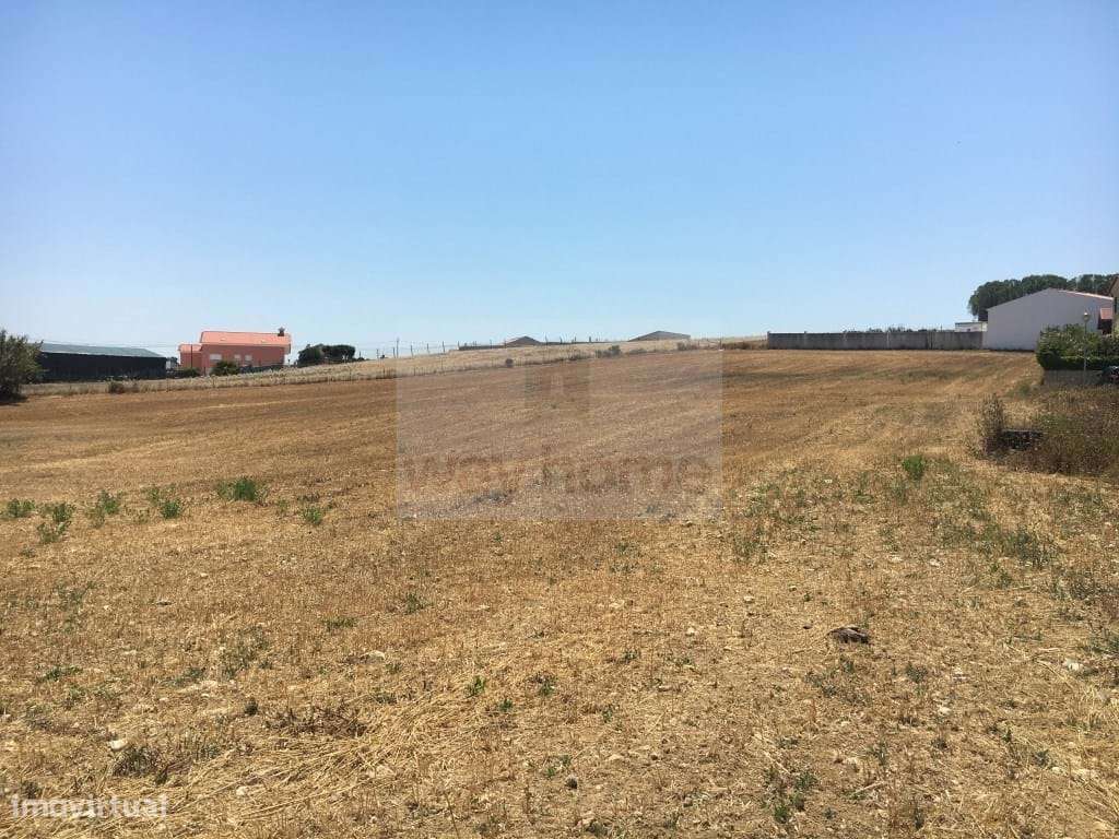 Terreno de 10.001 m2 | PIP aprovado para 2000m2 de construção-8