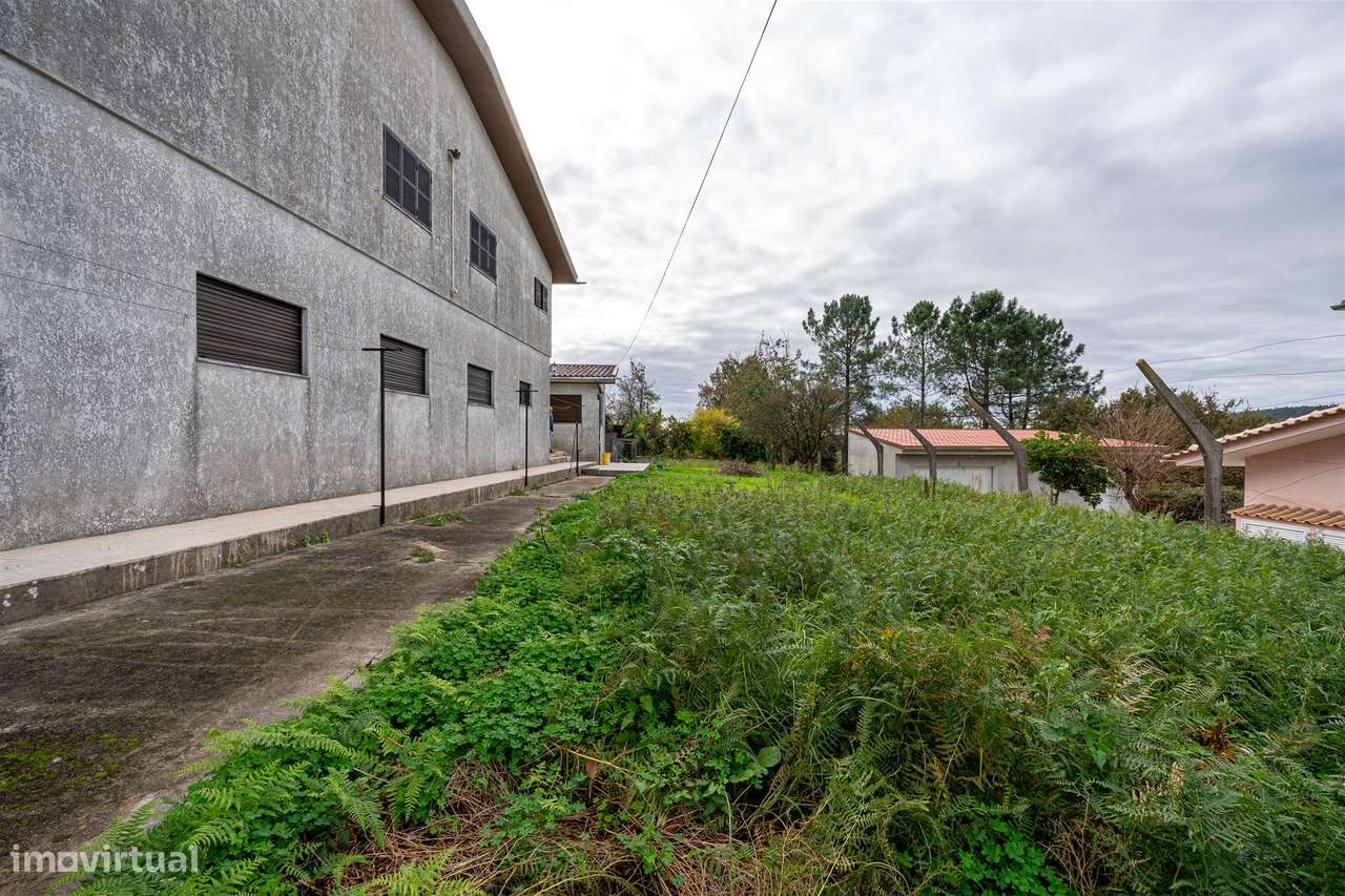 Moradia Isolada T3 Venda em Vila de Cucujães,Oliveira de Azeméis-4