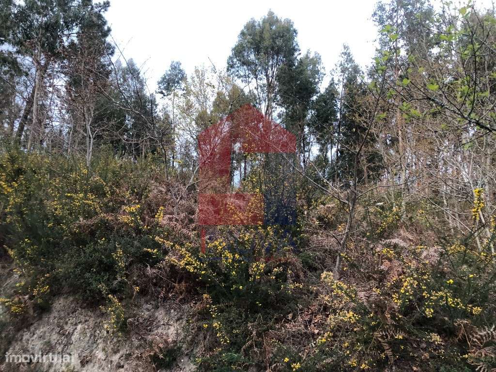 Terreno Industrial, Vilarinho - Grande imagem: 4/7