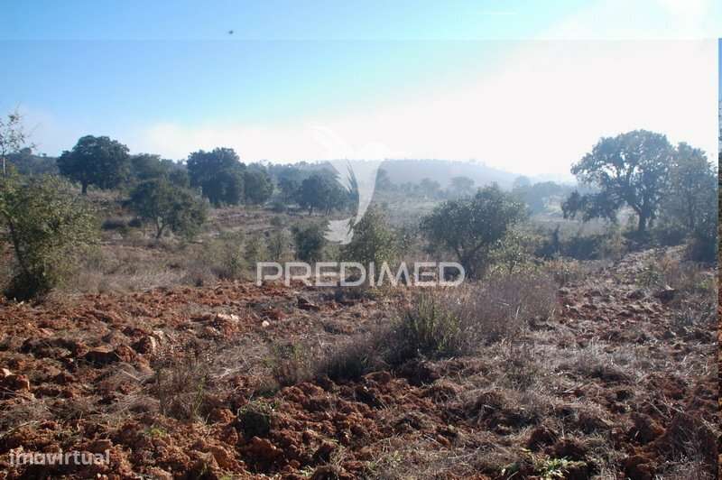Terreno com 31 000 m2,Cercal,Santiago do Cacém. - Grande imagem: 5/6