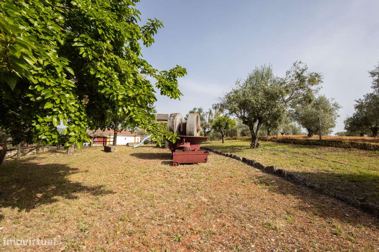 Quinta com piscina e vista sobre o Ribatejo, entre conforto e natureza-10