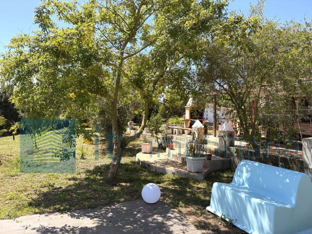Monte alentejano / Quinta / Herdade-12