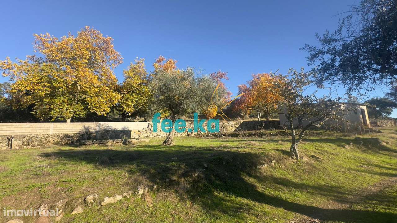 Quinta em Escalos de Baixo-20