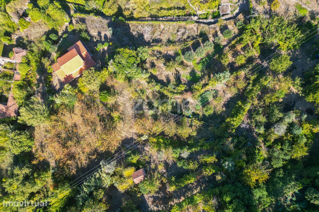 Terreno Rústico com Vistas Deslumbrantes para o Rio Douro - Grande imagem: 3/20