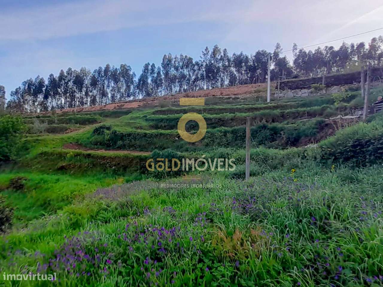 Terreno Para Construção  Venda em Real,Castelo de Paiva - Grande imagem: 3/4