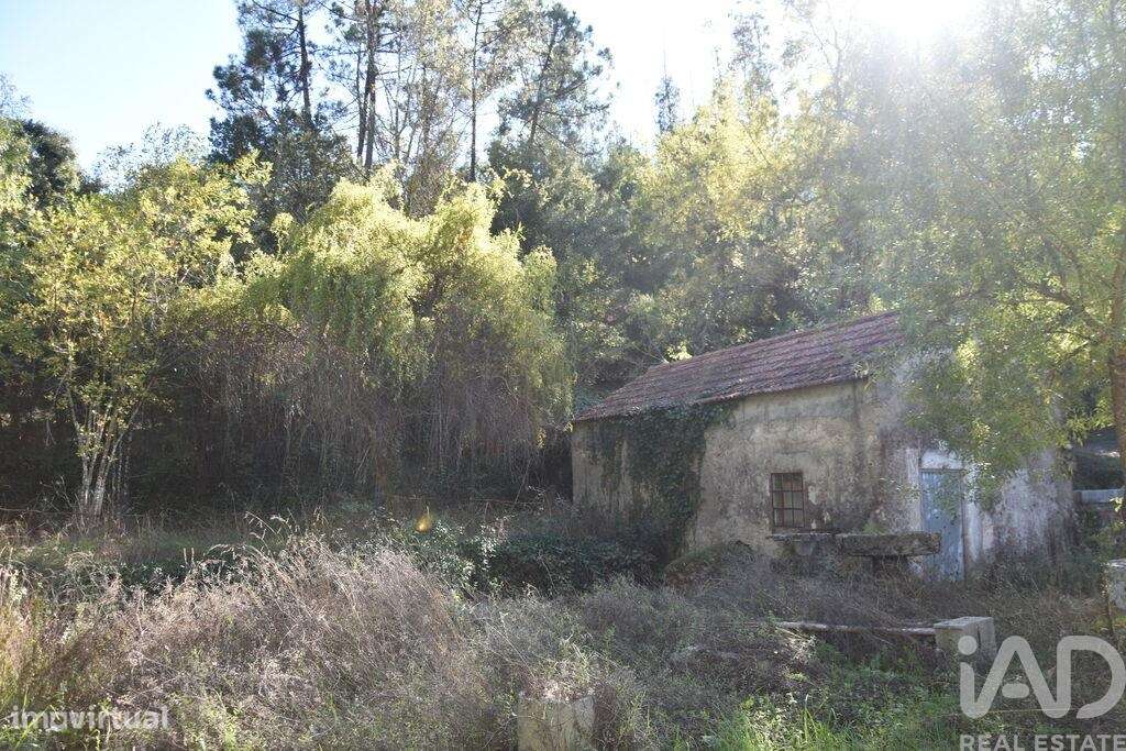 Casa de Campo T1 em Urqueira de 31,00 m2 - Grande imagem: 4/28
