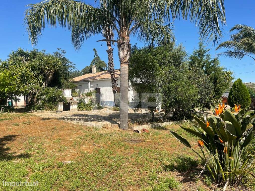 Quinta com 3 quartos e forno em Santa Bárbara de Nexe, Faro.-43