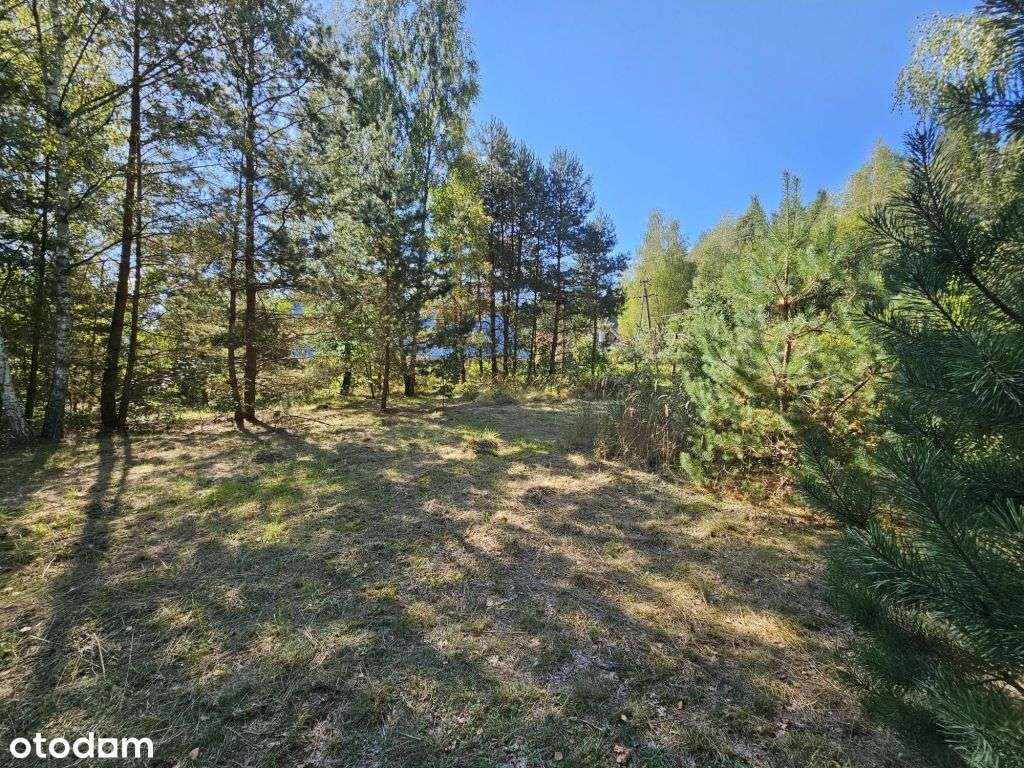 Działka w otoczeniu lasu - Pełny obrazek: 4/6