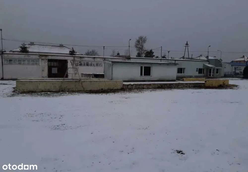 Budynki biurowo- magazynowe PRZETARG- Żnin - Pełny obrazek: 5/9