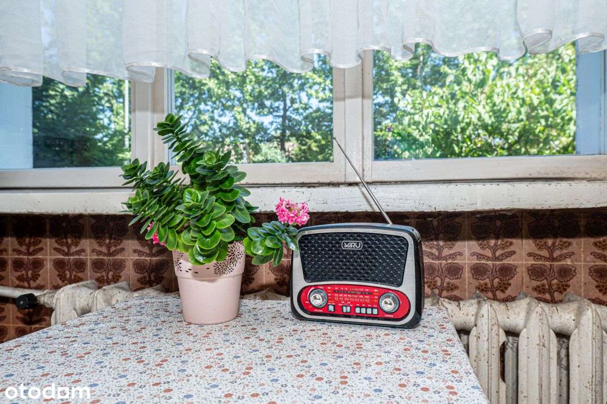 Dom bliźniak top lokalizacja Poznań-8