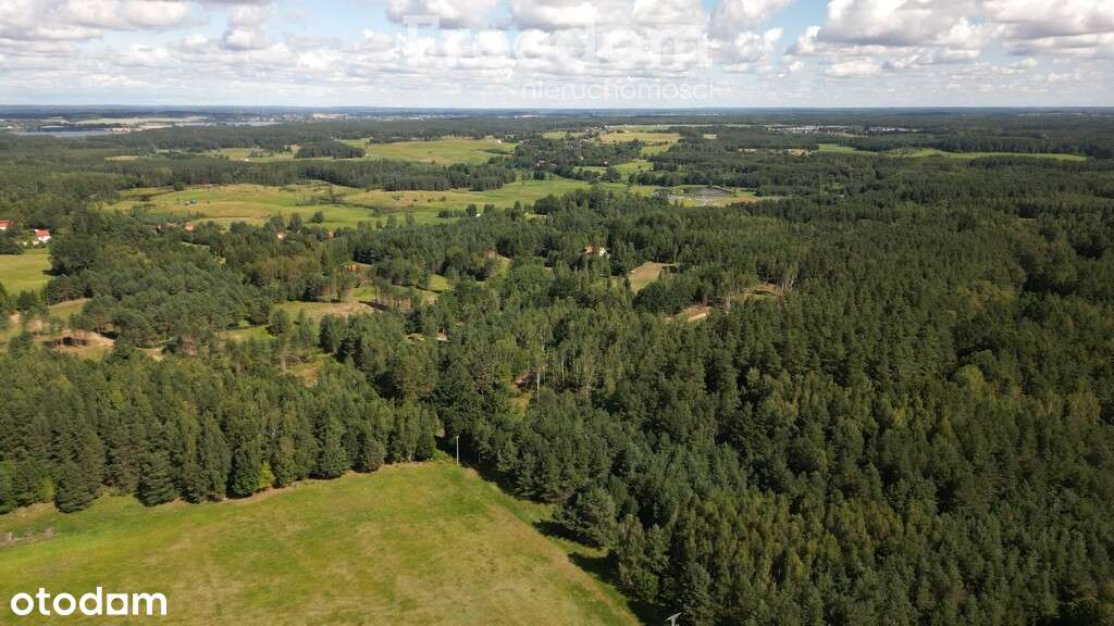 Atrakcyjny kompleks działek w Kabornie gm. Purda - Pełny obrazek: 3/7