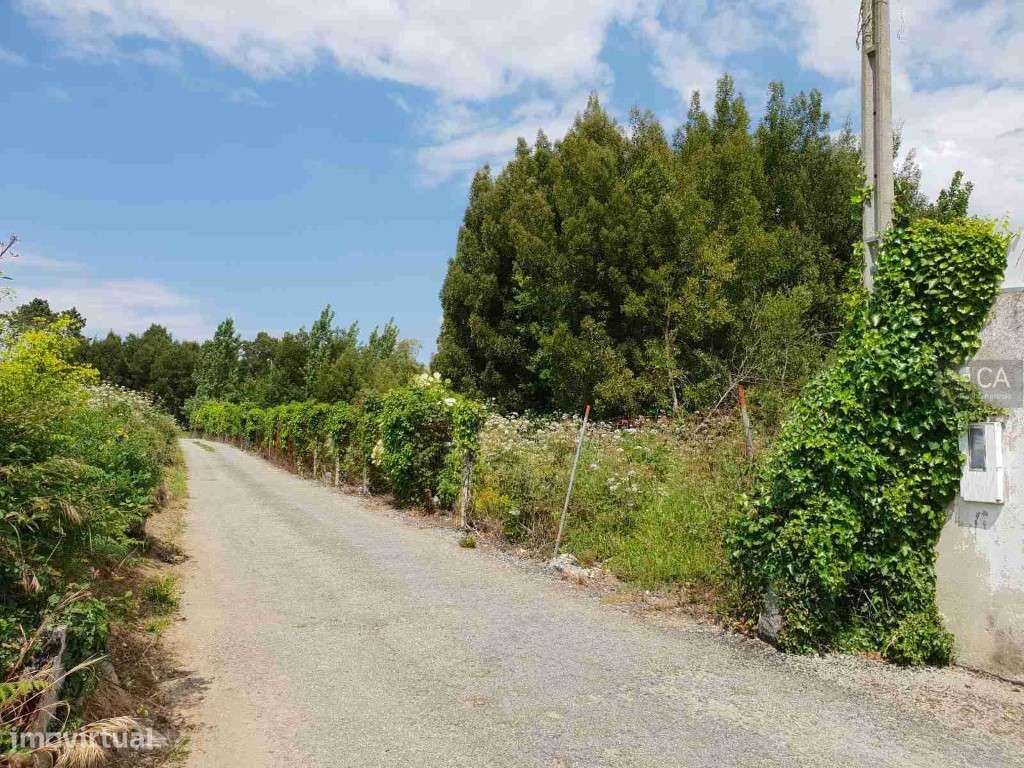 Terreno c/ 3150 mts em Esmojães, Anta Espinho - Grande imagem: 3/4