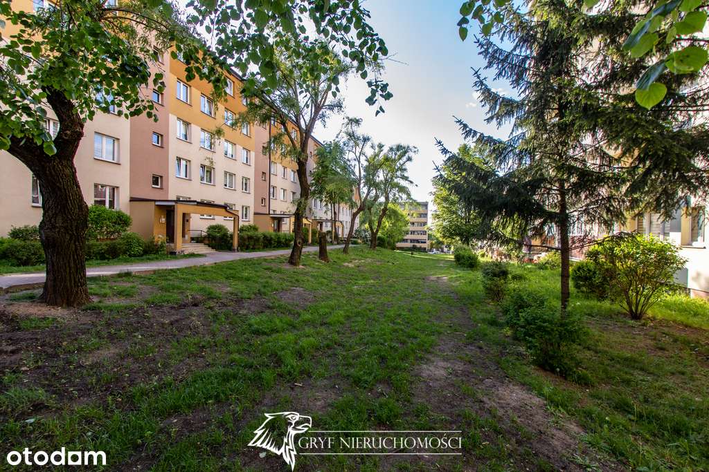 -3 pokojowe w pełni wyposażone - Oddzielna kuchnia-12