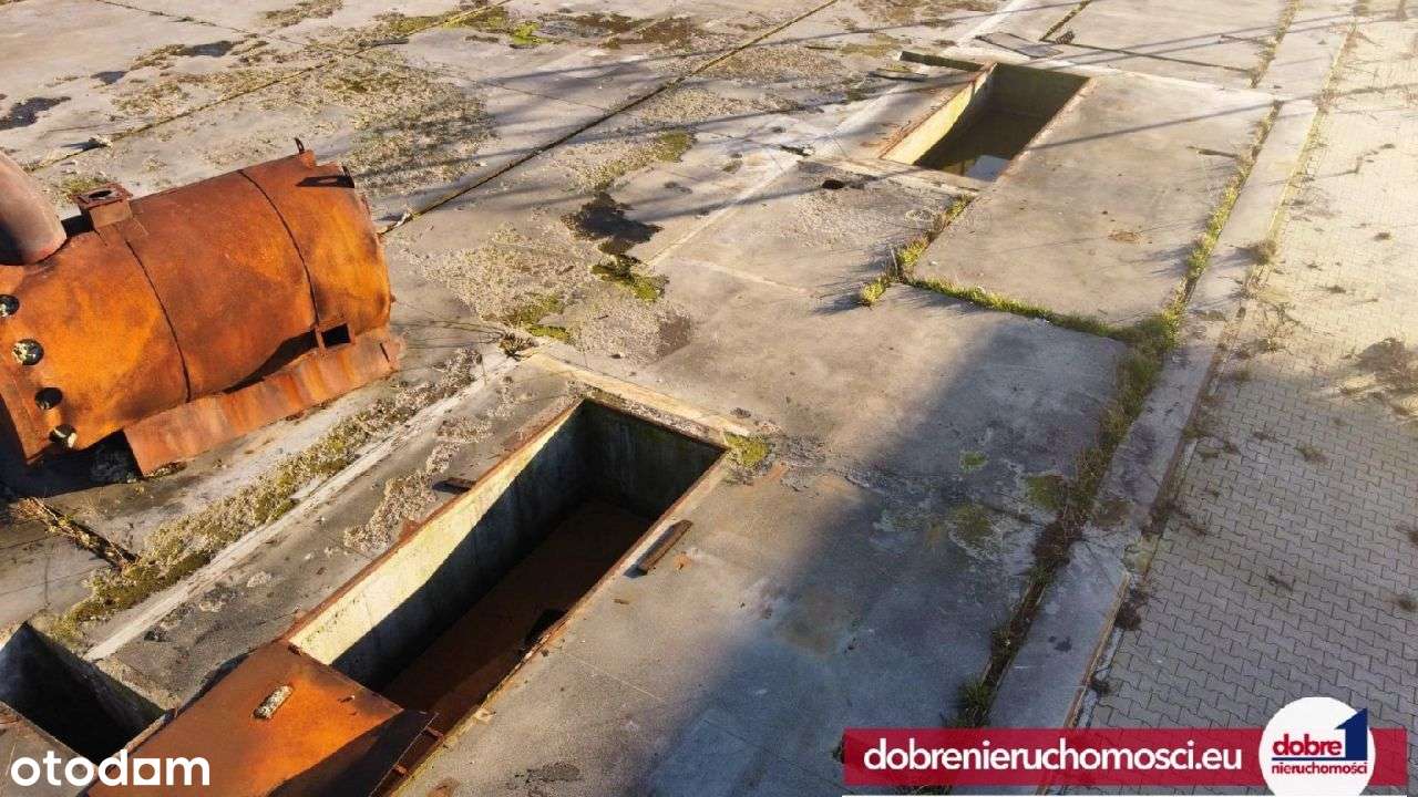 Działka inwestycyjna, 1ha, Trzeciewiec - Pełny obrazek: 5/12