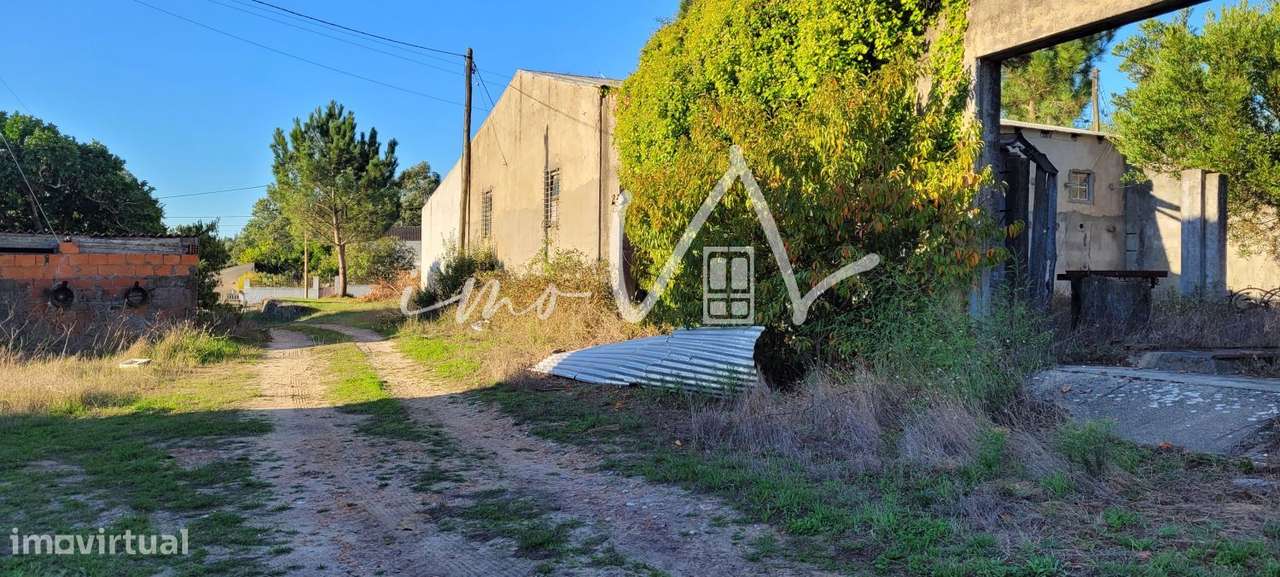 Armazém com terrno - Grande imagem: 3/12