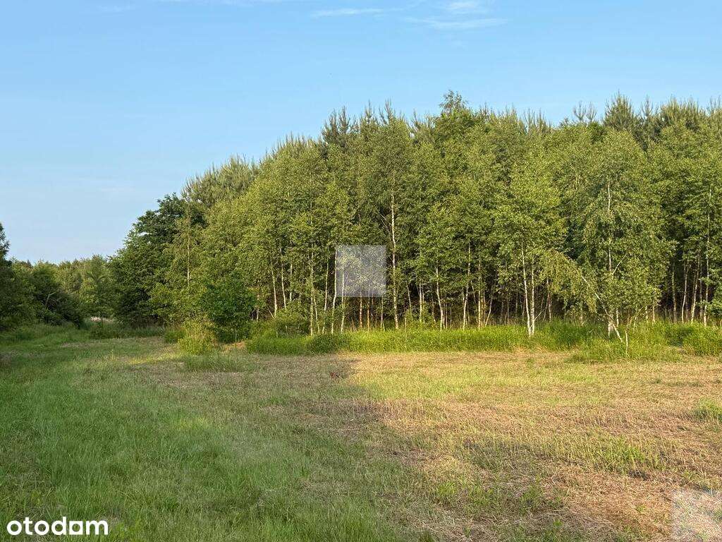 Działka rekreacyjna | WZ | Cienkie-10
