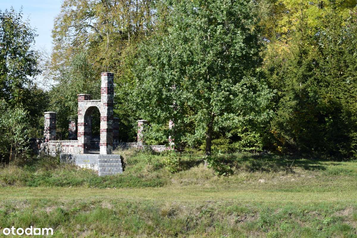 Dwa domy z potencjałem i dużą działką na Kaszubach-6