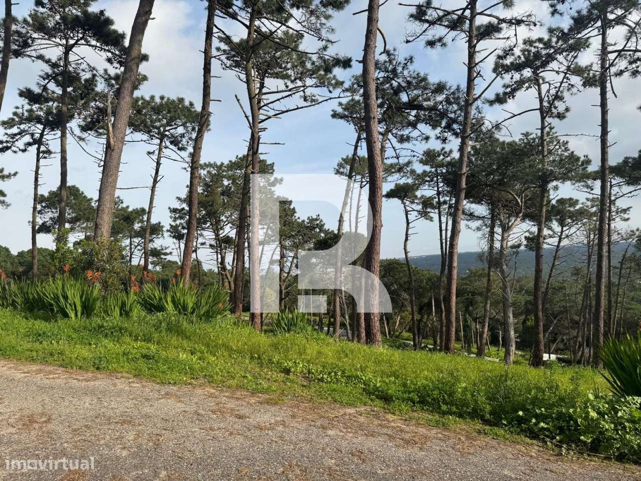 Moradia T2 em terreno de 2200m2 em Colares - Grande imagem: 4/24