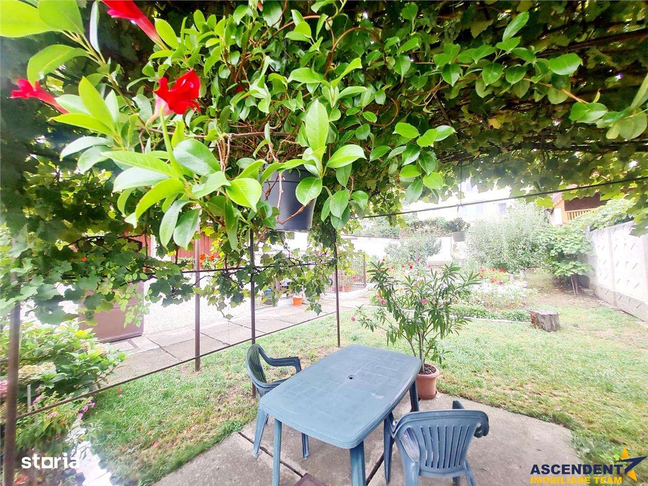 Poveste saseasca la umbra vitei de vie, cu crama si gradina cu flori, - Imagine principală: 5/20