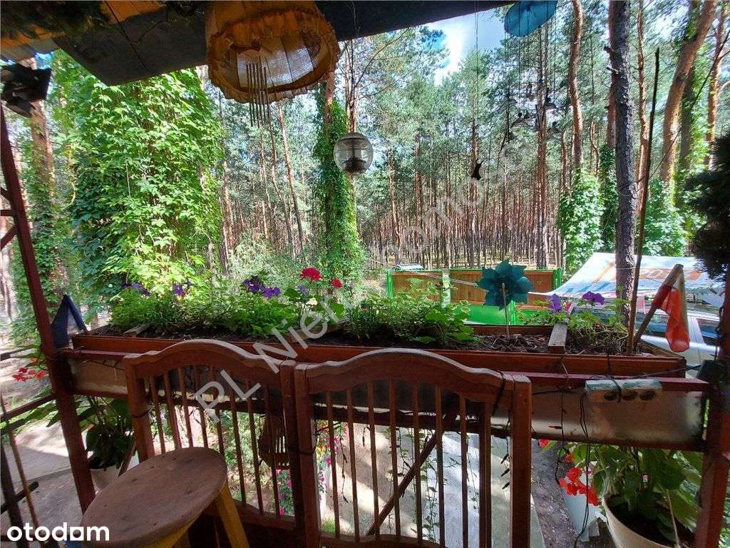 Solidny, drewniany dom z murowana piwnicą - Pełny obrazek: 4/17