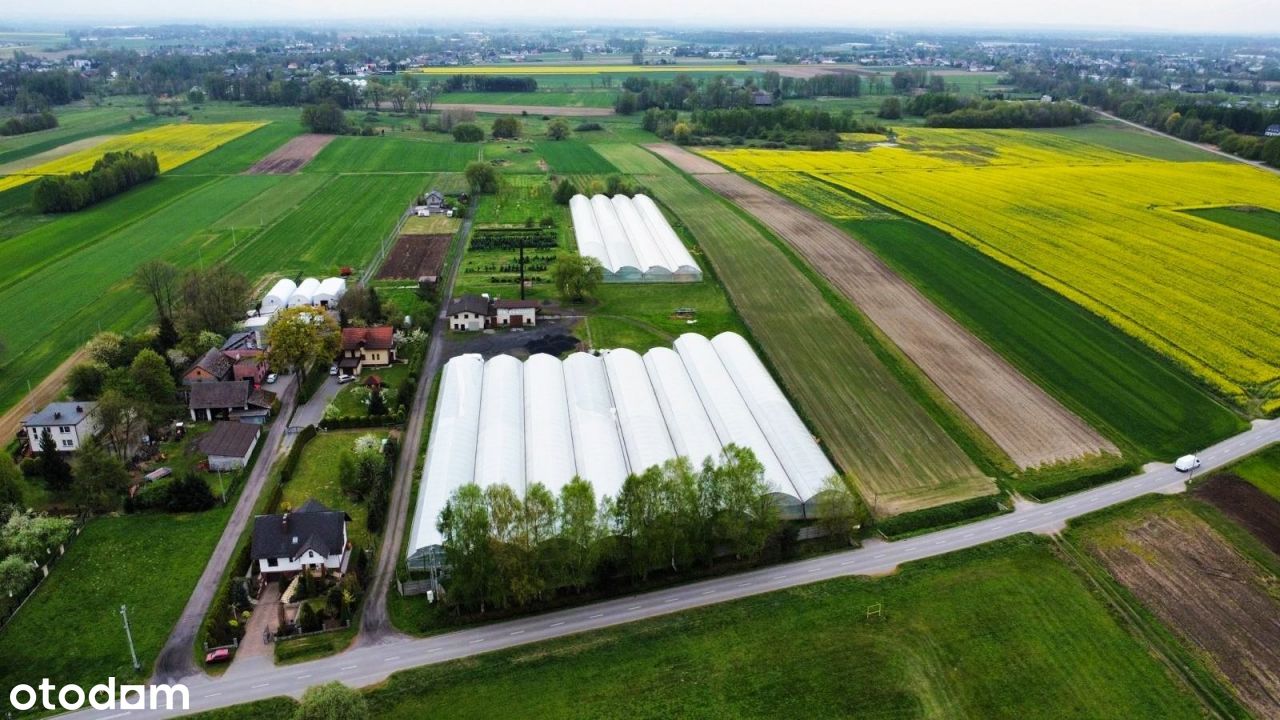 Teren rolno- budowlany ze szklarniami 4,25 ha.