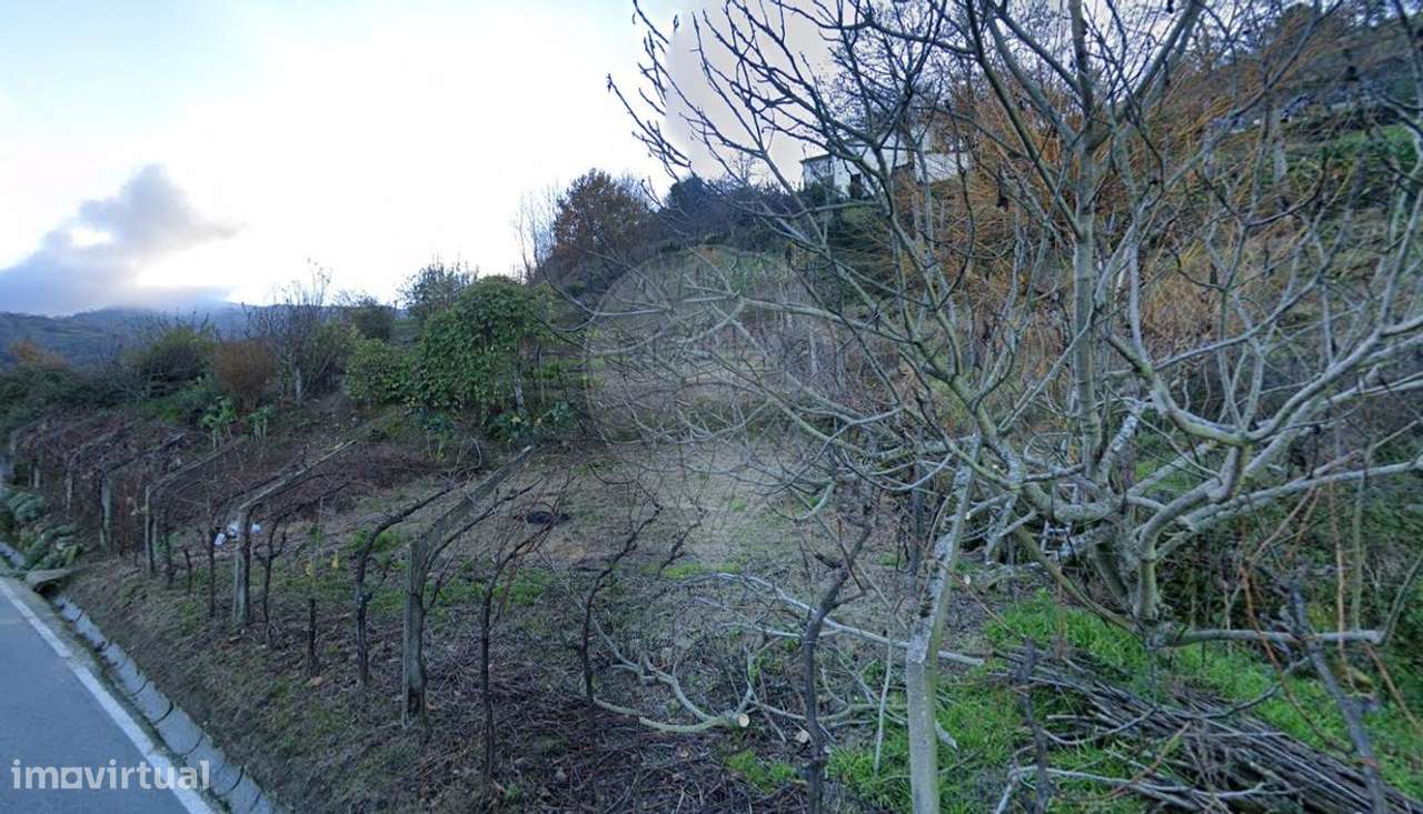 Terreno  para venda - Grande imagem: 3/4